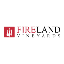 “Fireland Vineyards” MMC rəhbərinin ŞOK CİNAYƏTİ - külli miqdarda mənimsəmədə ittiham edilir
