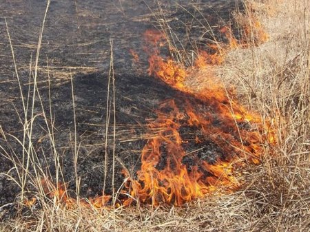 Azərbaycanda yanğınlar törədən 15 nəfər HƏBS EDİLDİ