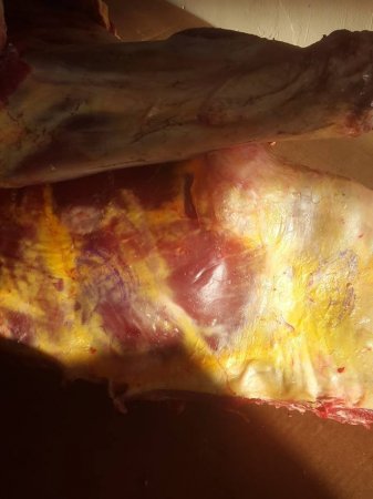 Saralmış, keyfiyyətsiz inək ətini 14, kərə yağını 87 manata dövlət idarələr ...