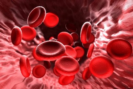 Anemiyanın əlamətləri və profilaktikası