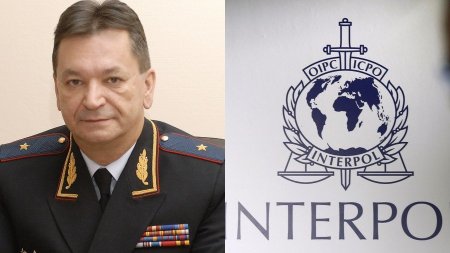 “TOYUQ HİNİNDƏKİ TÜLKÜ”… –Rus mafiyası 