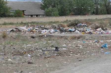 Şabranda keçirilən dövlət satınalmalarının pərdəarxası: RAYONU "TİKƏN" KİMLƏRDİR -FOTOLAR