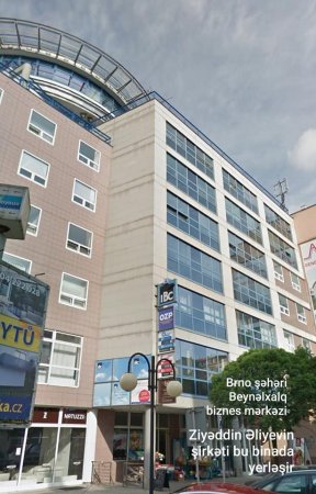 Ziyəddin Əliyev və onu oliqarxlara tən tutan Avropa biznesi