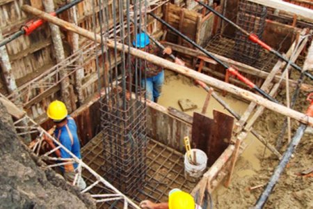 Tikinti ilə bağlı qaydalar dəyişir - 15 gün ərzində...