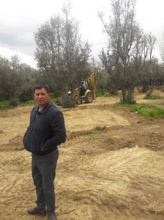 “Azərenerji” rəhbəri Balababa Rzayevdən Bakıya ağır zərbə:“Zeytunluq” vandalcasına məhv edilir (FOTO)