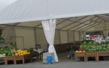 İnam Kərimovun çadırda yemiş biznesi: - sərfəli yarmarka, yoxsa...