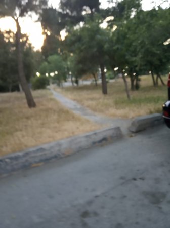 Arif Qasımov yüksək gərginlikli elektrik xəttinin altında çayxana şəbəkəsi yaradıb – FOTOLAR 