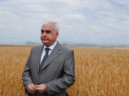 İsmət Abbasov dövlətin 100 milyonlarını belə talayıb - korrupsiya sxemi
