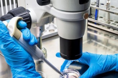 Alimlər süni beyin yaradır