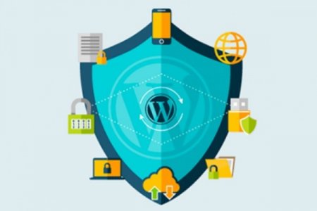 “WordPress”in avtomatik yenilənmə siyasəti barədə XƏBƏRDARLIQ