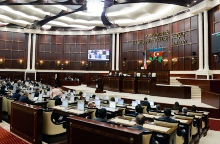 Milli Məclisdə abortlarla bağlı fikir ayrılığı yarandı - Cinsiyyəti təyin etməyə icazə verilsin, verilməsin?..