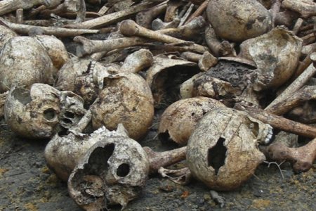 55 müsəlman kəndi yerlə-yeksan edildi - Gizli soyqırım