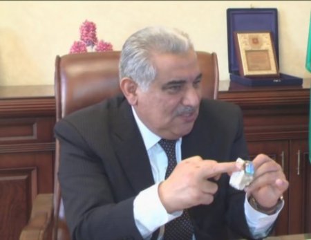 Əhəd Abıyevi bitirən meşə görüşü, Elza və prezidentin çıxışı