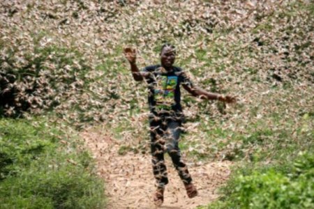 13 milyon insan TƏHLÜKƏDƏ - Aclıq başlaya bilər