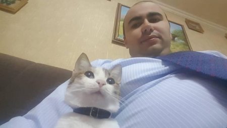 Əli Həsənovun oğlunun yenicə pöhrələnən korrupsiyası...