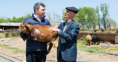 Qucağına quzu almışdı ey... - Reallıq tamam başqadır!