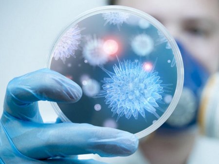 Azərbaycanda 262 nəfərdə COVID-19 aşkarlandı, 2 nəfər vəfat etdi