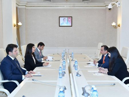 Azərbaycan-İspaniya parlamentlərarası işçi qrupu ilə İspaniyanın müvəqqəti  ...