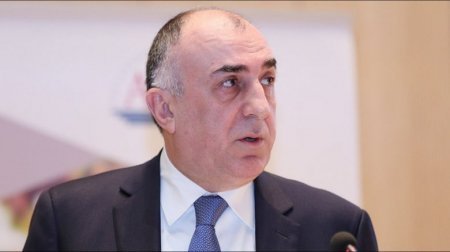 Elmar Məmmədyarov üçün çıxış yolu istefa verməsidir...