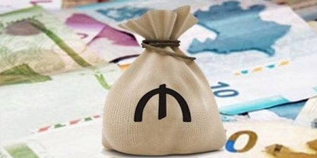 “Özbaşına qalsa, bankların olan-qalan əmlakının da “başına daş salacaq””