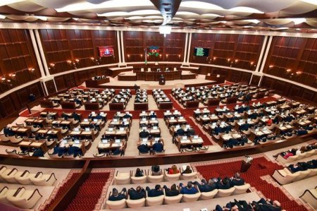 “Əfv alveri” ilə hansı deputat məşğul olub?