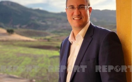 Azərbaycan Qafqazda bir nömrəli iqtisadi tərəfdaşımızdır - Fransalı deputat