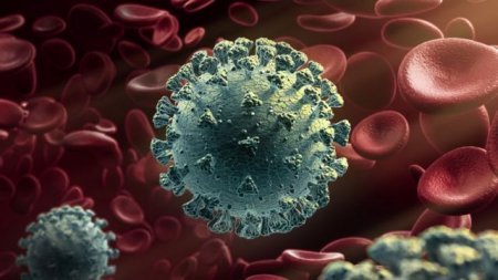 İnsanları xəstələndirən təkcə virus deyil: - Qadağalar da yoluxmaya yol açı ...