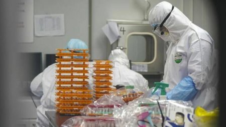 Professordan Azərbaycanda koronavirusla bağlı ŞOK XƏBƏRDARLIQ: - Üçüncü dal ...