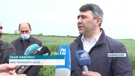 İnam Kərimov HARA BAXIR: 