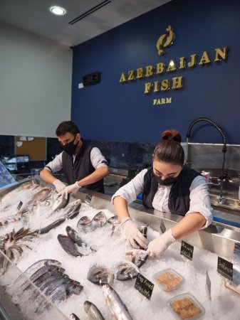 “Az Fish” şirkətinin vəzifəli şəxslərinə cinayət işi açıldı - TƏFƏRRÜAT